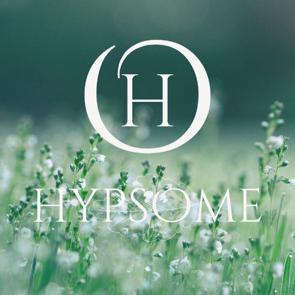Logo d'Hypsome