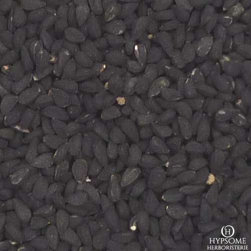 Cumin noir ou nigelle graines biologique