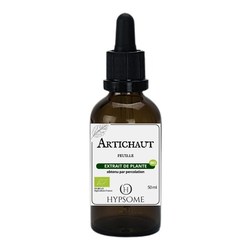 Artichaut bio_EHA