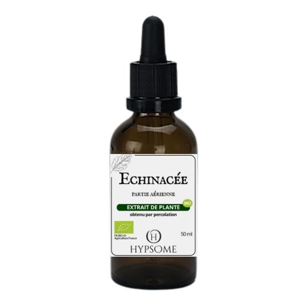 Echinacée bio_EHA