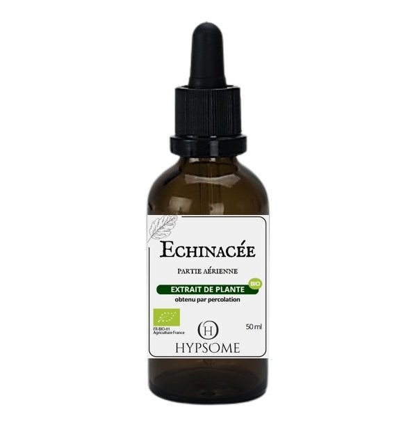 Echinacée bio_EHA